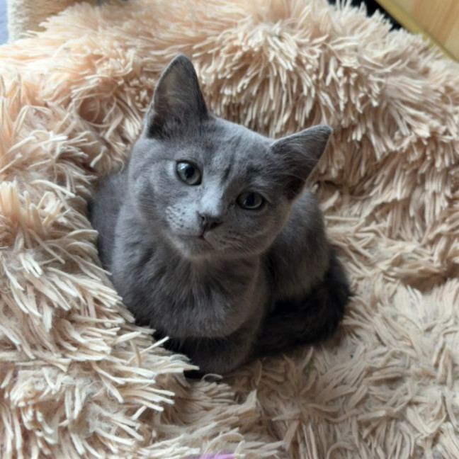 Photo of Ruby ♥️♥️♥️♥️♥️