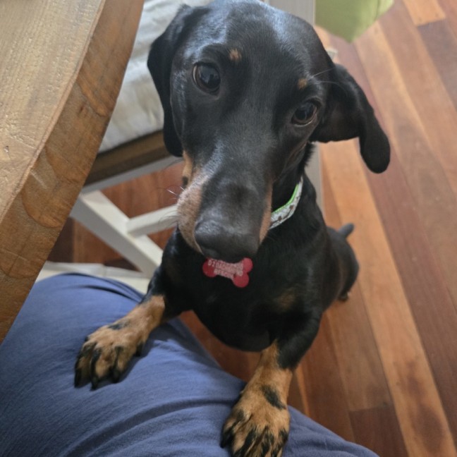 Photo of Pablo
