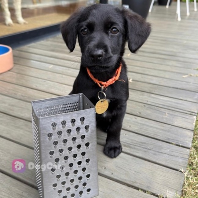 Photo of Grater