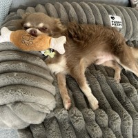 Photo of Louis