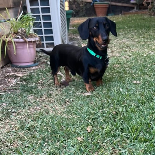 Photo of Eddy