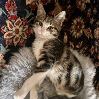Photo of Tobias