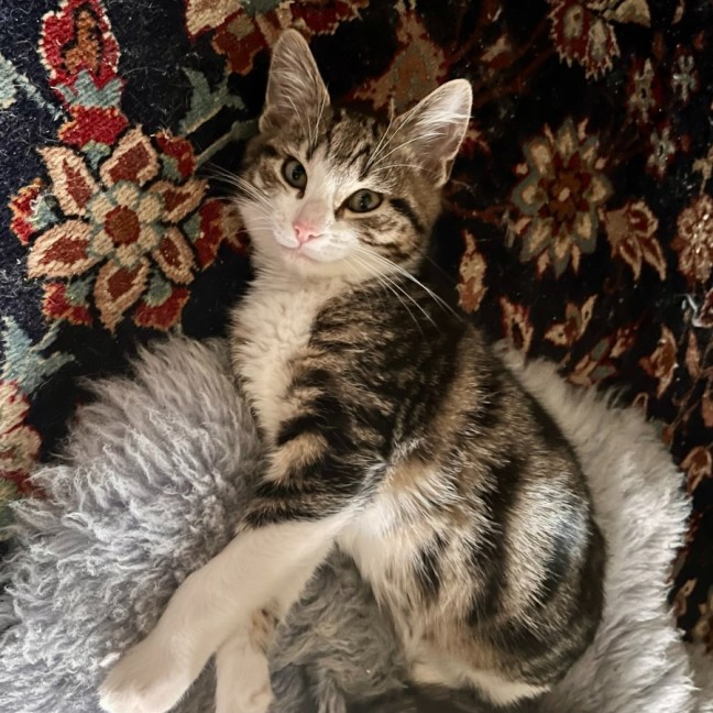 Photo of Tobias