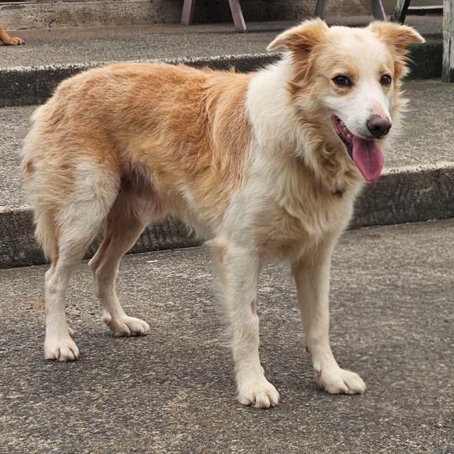 Photo of Jasper