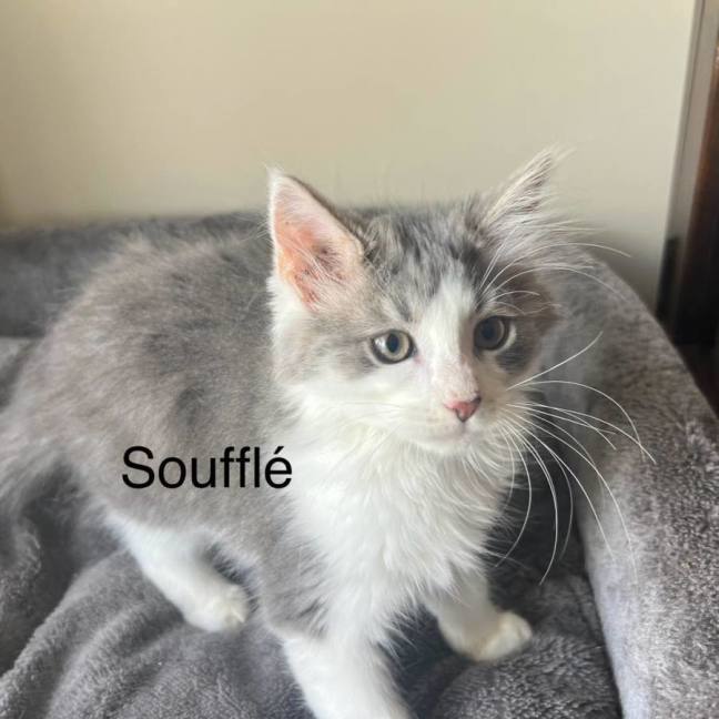 Photo of Souffle