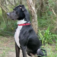 Photo of Finn