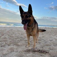 Photo of Max