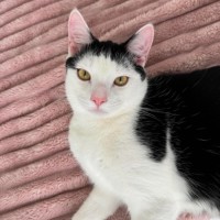 Photo of Leo & Mighalo