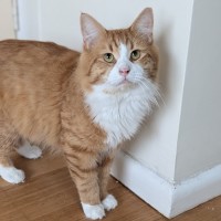 Photo of Mort