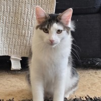 Photo of Dotty