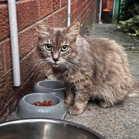 Photo of Lady