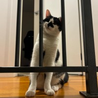 Photo of Hail! 🥰👑