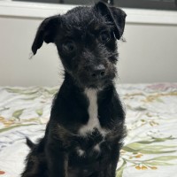 Photo of Millie ❤️🌞