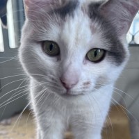 Photo of Karen 