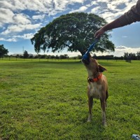 Photo of Atlas