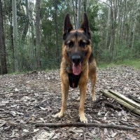 Photo of Max
