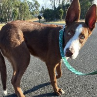 Photo of Wally 
