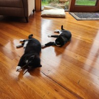 Photo of Chico & Fernando