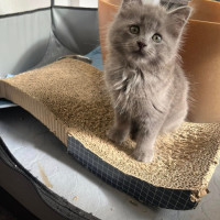 Photo of Cloud