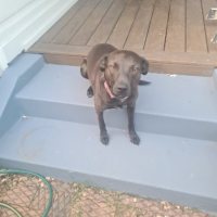 Photo of Molly