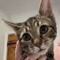 Photo of Waylon