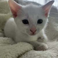 Photo of Cloud