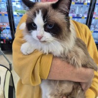 Photo of Bubbles And Lily 