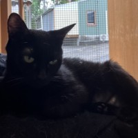 Photo of Sparkle