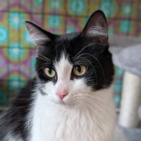 Photo of Rex