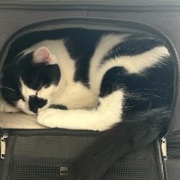 Photo of Hail! 🥰👑