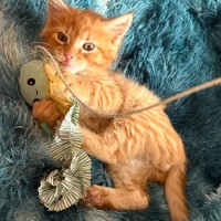 Photo of Marshall 🩵🧢🩵