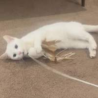 Photo of Snowy