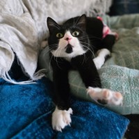 Photo of Lucy (Located In Wantirna South)