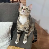 Photo of Trixie