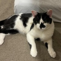 Photo of Hail! 🥰👑