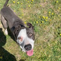 Photo of Dora