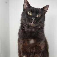 Photo of 😎 Felipe 6811 😎