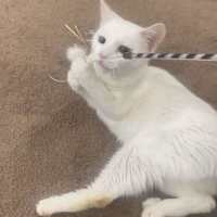 Photo of Snowy