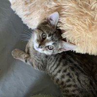 Photo of Isla💕💕💕