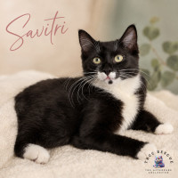 Photo of Savitri