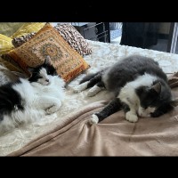 Photo of Barney And Wynstan