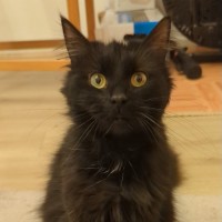 Photo of Twirl