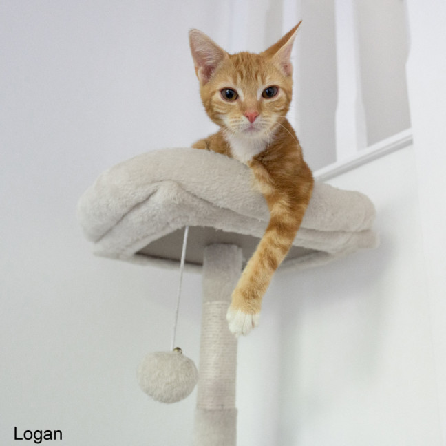 Photo of Logan