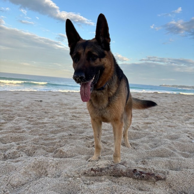 Photo of Max