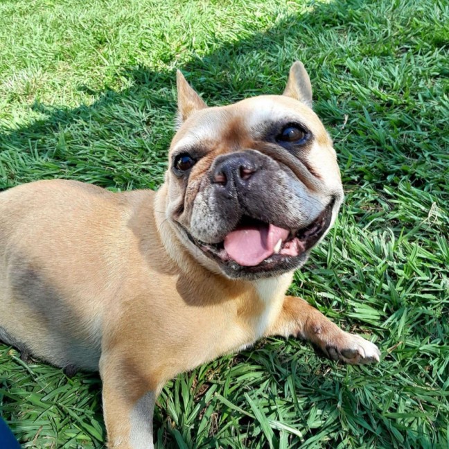 Photo of Muriel