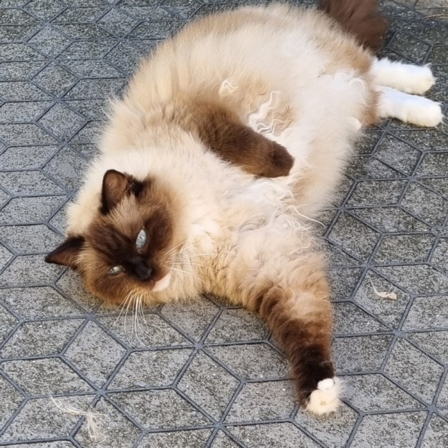 Photo of Agatha