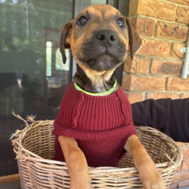 Photo of Pentonville