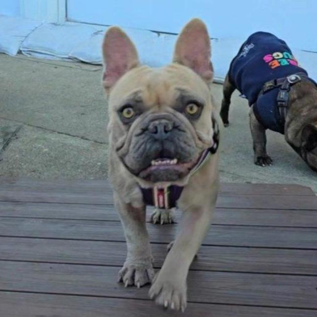Photo of Luna 