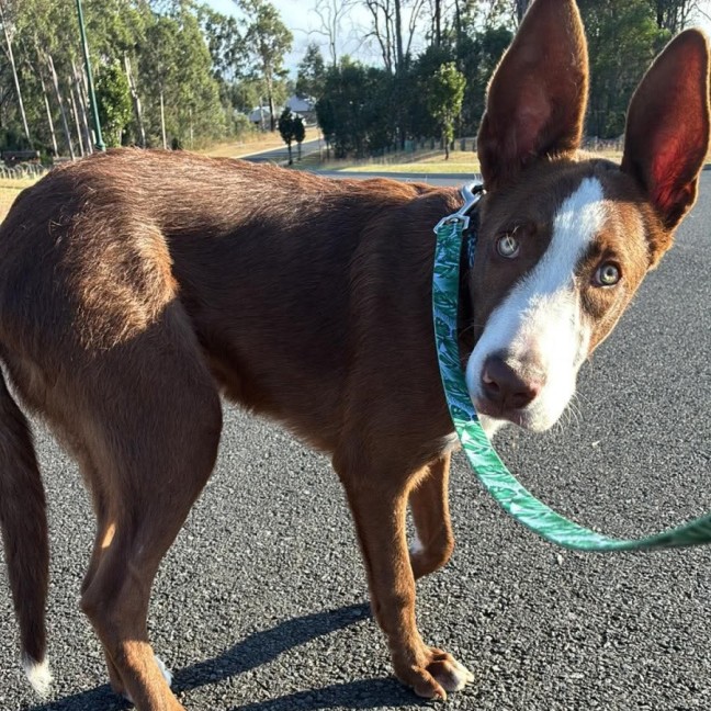 Photo of Wally 