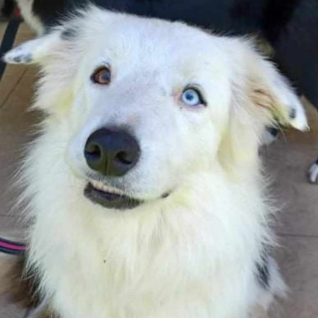 Photo of Molly